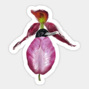 Magnificent Frigatebird + Lady Slipper Orchid Sticker